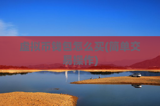 虚拟币钱包怎么买(简单交易操作)