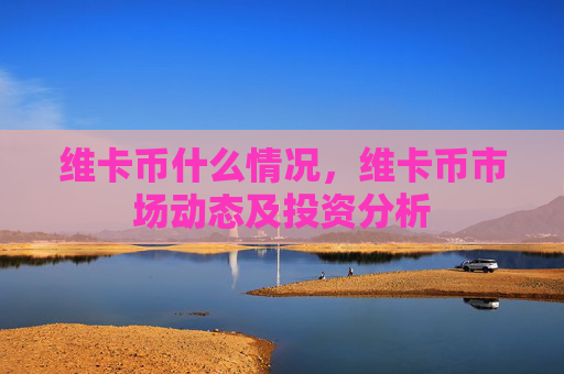 维卡币什么情况，维卡币市场动态及投资分析