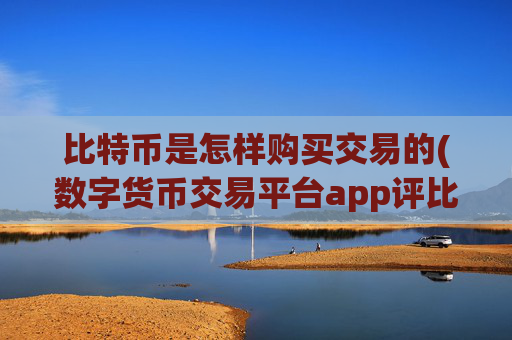 比特币是怎样购买交易的(数字货币交易平台app评比)