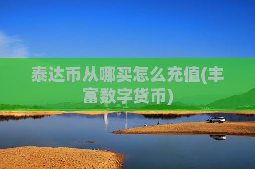 泰达币从哪买怎么充值(丰富数字货币)