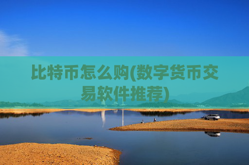 比特币怎么购(数字货币交易软件推荐)