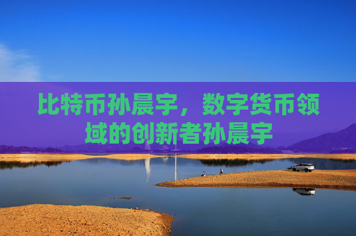 比特币孙晨宇,数字货币领域的创新者孙晨宇