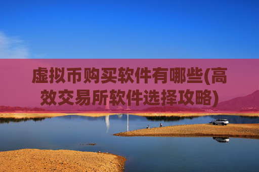 虚拟币购买软件有哪些(高效交易所软件选择攻略)