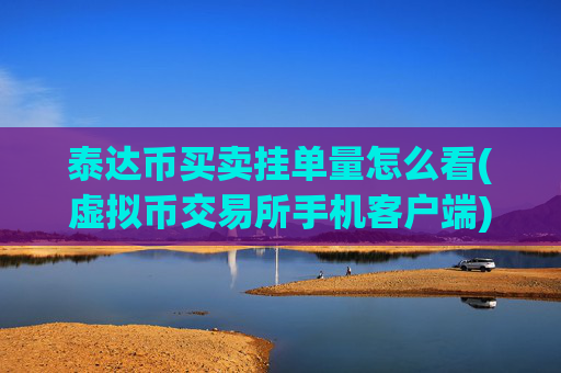 泰达币买卖挂单量怎么看(虚拟币交易所手机客户端)