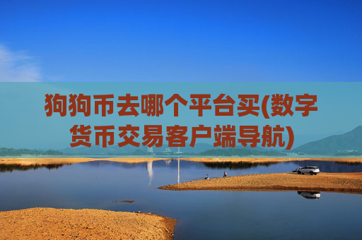 狗狗币去哪个平台买(数字货币交易客户端导航)