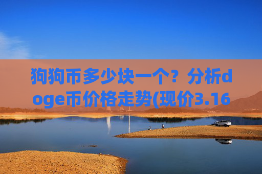 狗狗币多少块一个？分析doge币价格走势(现价3.1699元)