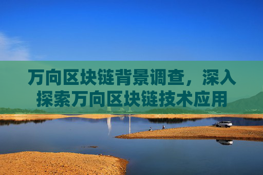 万向区块链背景调查，深入探索万向区块链技术应用