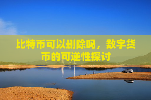 比特币可以删除吗,数字货币的可逆性探讨