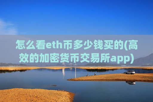怎么看eth币多少钱买的(高效的加密货币交易所app)