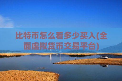 比特币怎么看多少买入(全面虚拟货币交易平台)