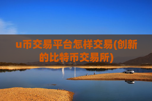 u币交易平台怎样交易(创新的比特币交易所)