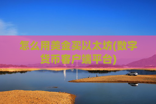 怎么用美金买以太坊(数字货币客户端平台)