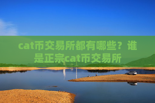 cat币交易所都有哪些?谁是正宗cat币交易所
