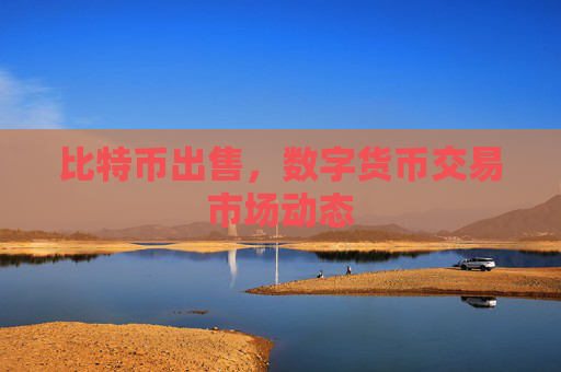 比特币出售,数字货币交易市场动态