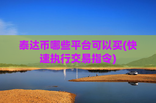 泰达币哪些平台可以买(快速执行交易指令)