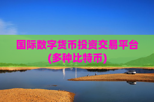 国际数字货币投资交易平台(多种比特币)