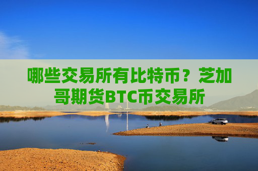 哪些交易所有比特币?芝加哥期货BTC币交易所