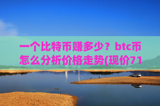 一个比特币赚多少?btc币怎么分析价格走势(现价711254.9元)