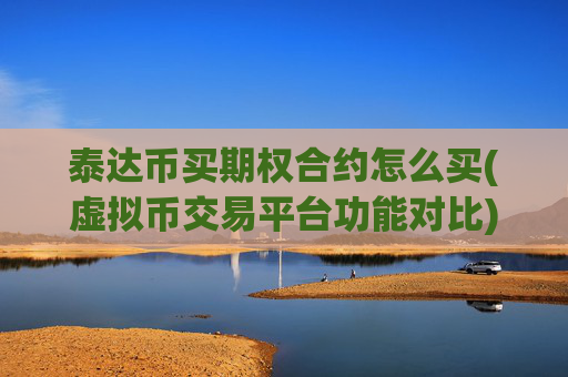 泰达币买期权合约怎么买(虚拟币交易平台功能对比)