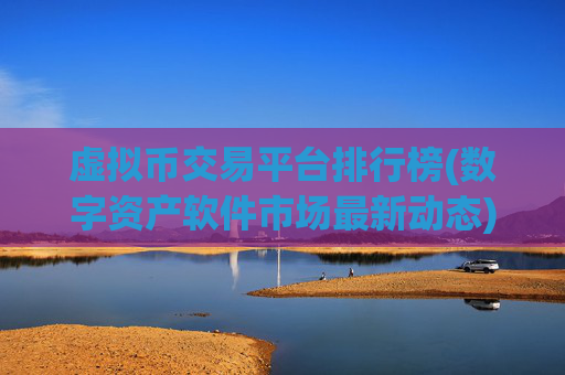 虚拟币交易平台排行榜(数字资产软件市场最新动态)