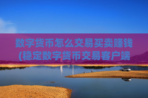数字货币怎么交易买卖赚钱(稳定数字货币交易客户端)