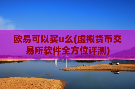 欧易可以买u么(虚拟货币交易所软件全方位评测)