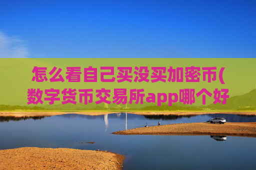 怎么看自己买没买加密币(数字货币交易所app哪个好)