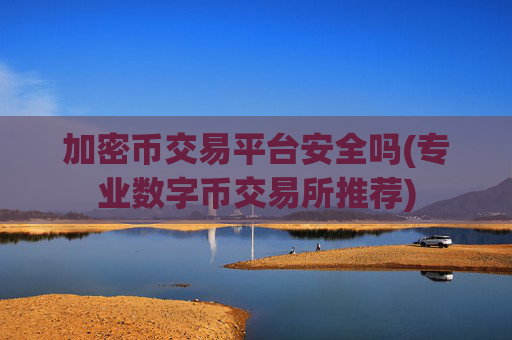 加密币交易平台安全吗(专业数字币交易所推荐)