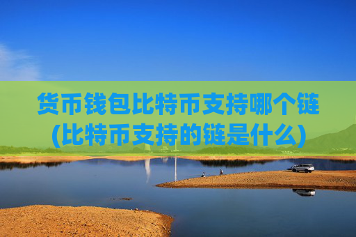 货币钱包比特币支持哪个链(比特币支持的链是什么)