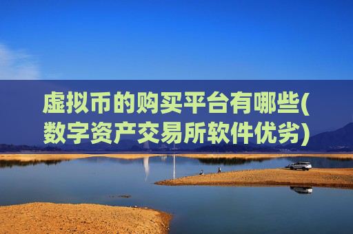虚拟币的购买平台有哪些(数字资产交易所软件优劣)
