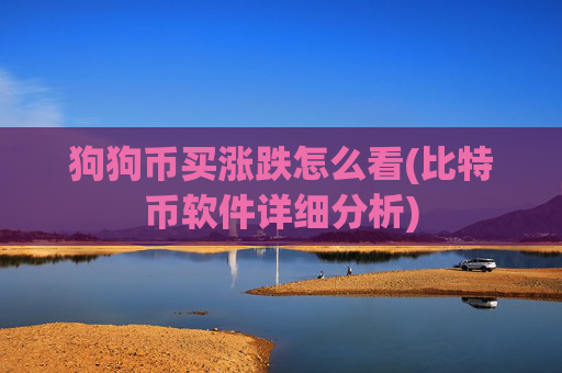 狗狗币买涨跌怎么看(比特币软件详细分析)