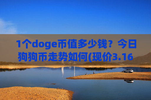 1个doge币值多少钱?今日狗狗币走势如何(现价3.1628元)