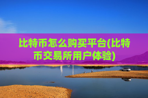 比特币怎么购买平台(比特币交易所用户体验)