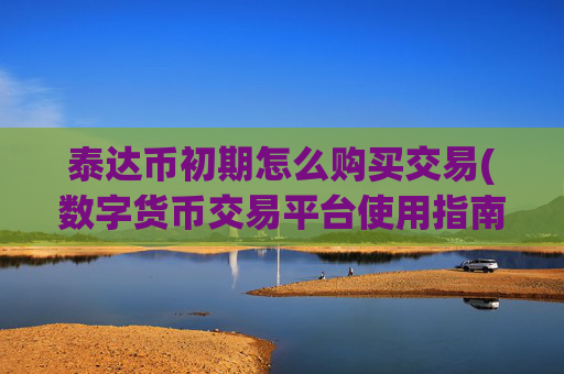 泰达币初期怎么购买交易(数字货币交易平台使用指南)