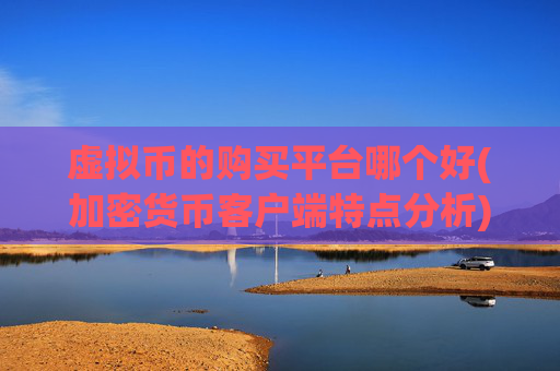 虚拟币的购买平台哪个好(加密货币客户端特点分析)