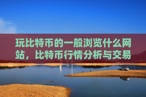 玩比特币的一般浏览什么网站,比特币行情分析与交易技巧