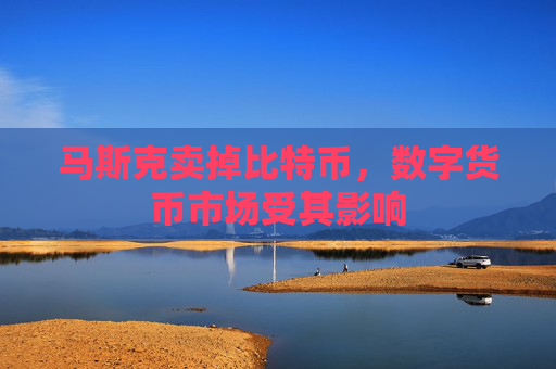 马斯克卖掉比特币，数字货币市场受其影响