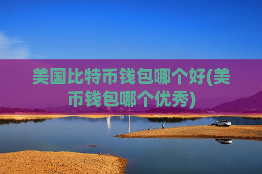 美国比特币钱包哪个好(美币钱包哪个优秀)