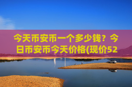 今天币安币一个多少钱?今日币安币今天价格(现价5290.64元)
