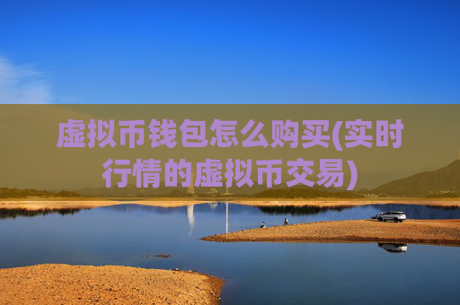 虚拟币钱包怎么购买(实时行情的虚拟币交易)