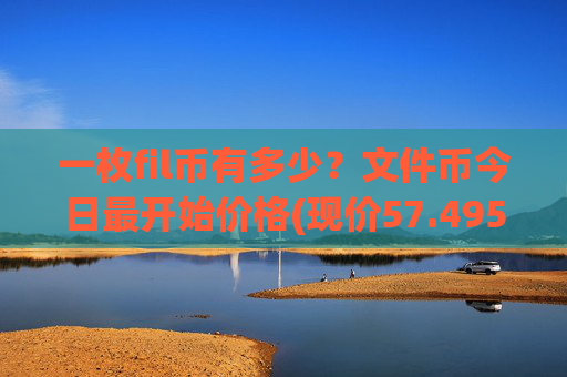 一枚fil币有多少?文件币今日最开始价格(现价57.4959元)