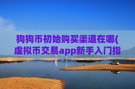狗狗币初始购买渠道在哪(虚拟币交易app新手入门指南)