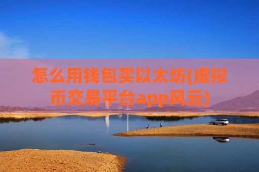 怎么用钱包买以太坊(虚拟币交易平台app风云)