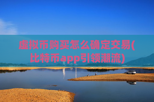 虚拟币购买怎么确定交易(比特币app引领潮流)