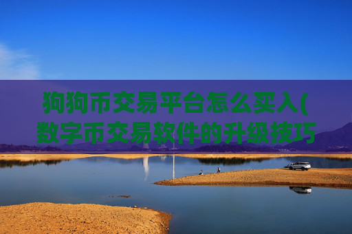 狗狗币交易平台怎么买入(数字币交易软件的升级技巧)