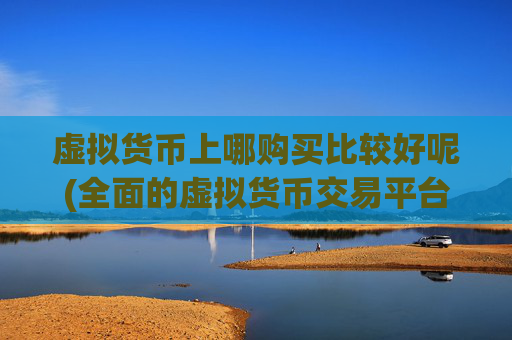 虚拟货币上哪购买比较好呢(全面的虚拟货币交易平台)