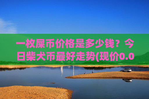 一枚屎币价格是多少钱?今日柴犬币最好走势(现价0.00022283元)