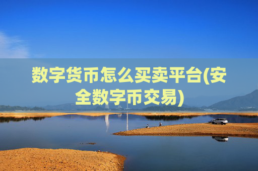 数字货币怎么买卖平台(安全数字币交易)