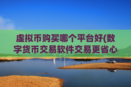 虚拟币购买哪个平台好(数字货币交易软件交易更省心)