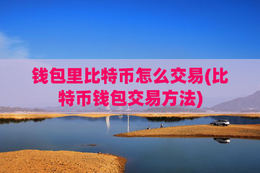 钱包里比特币怎么交易(比特币钱包交易方法)